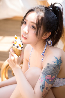 新亮剑全集